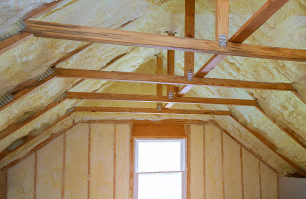 Best Geographic-Specific Insulation Services in Level Park Oak Park, MI