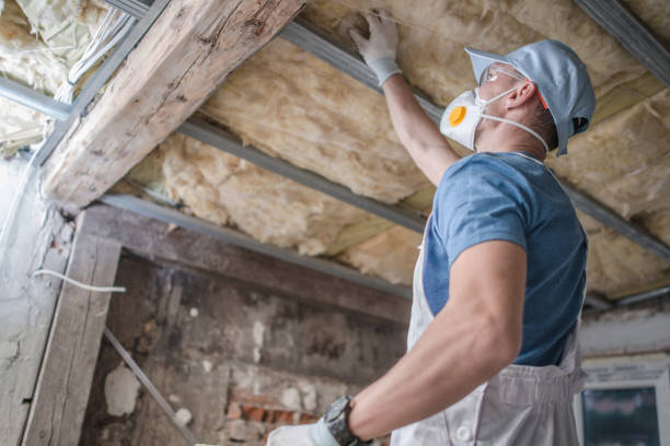 Types of Insulation We Offer in Level Park Oak Park, MI