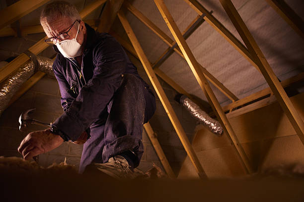 Best Specialized Insulation Services in Level Park Oak Park, MI